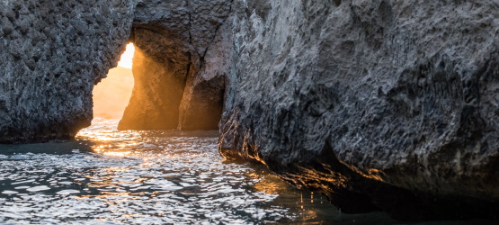 Quem não glorificará o nome do Senhor?