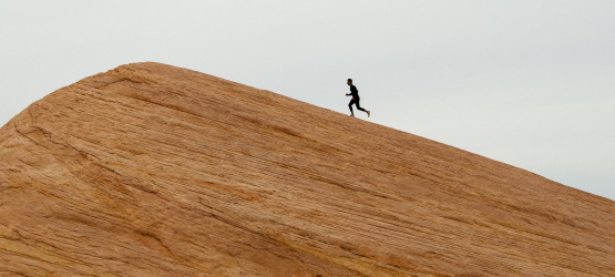O vencedor herdará todas as coisas