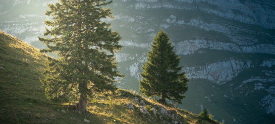 Mesmo vendo não se arrependeram