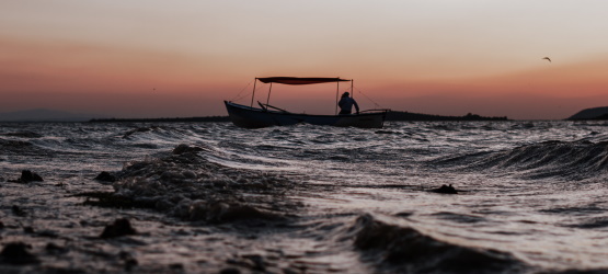 As aflições de um profeta