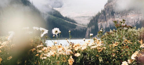 Sempre o foco religioso