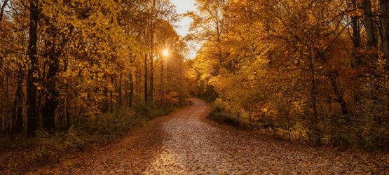 Qual tem sido a nossa atitude?