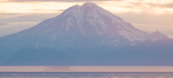Chamados a liberdade, não a carne!
