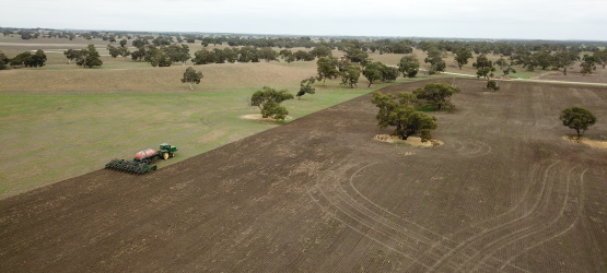 O que semeamos, colhemos