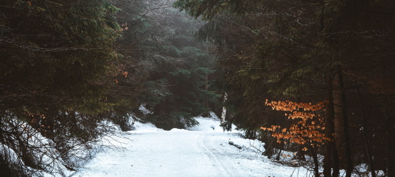 Tende o mesmo amor e sejais unidos de alma