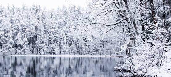 Cumprir o que veio para fazer