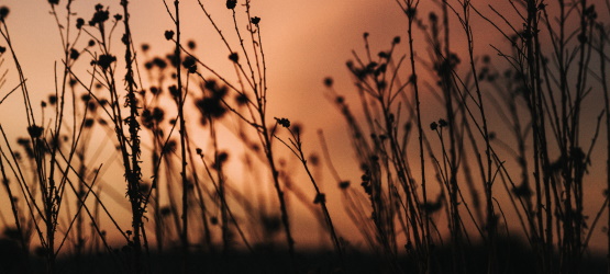 Dando o conhecimento da salvação