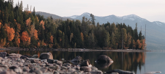 Não se deixar enganar e andar em Cristo
