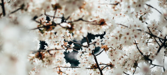 Crescer no conhecimento e percepção