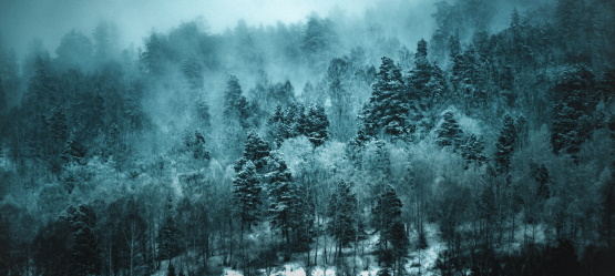 Mesmo livrando, não foi fácil