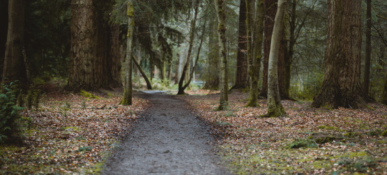 A lógica e experiência não suplantam o conhecimento espiritual
