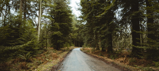 A responsabilidade em nossas mãos