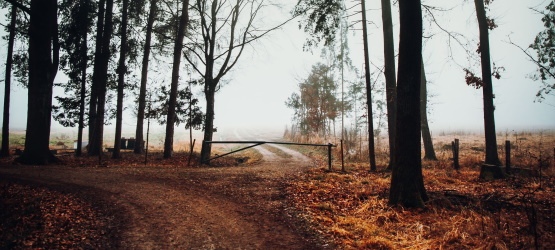 Chamados para viver uma vida útil