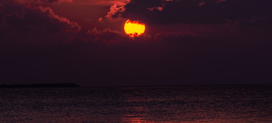 Raízes alicerçadas no amor