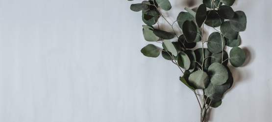 O perfil de um líder