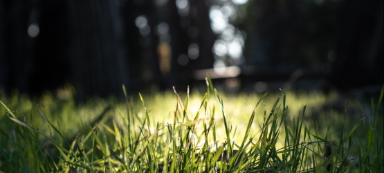 A criticidade de conhecer o Pai