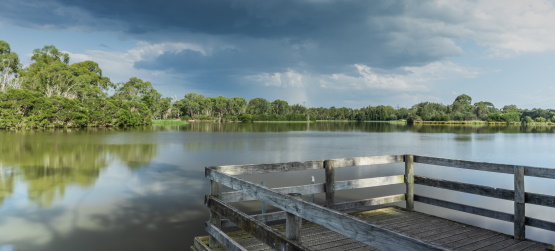 Qual riqueza escolher?