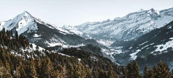 O que devemos pedir?