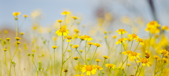 Uma única e definitiva vez