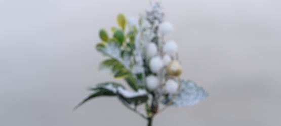 O que é importante para Deus?