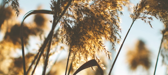 Quando há salvação