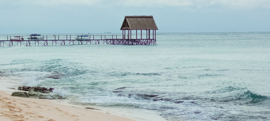 Ele salva os que vão a Ele