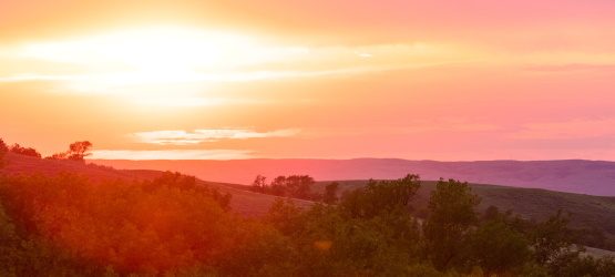 Expectativas equivocadas?