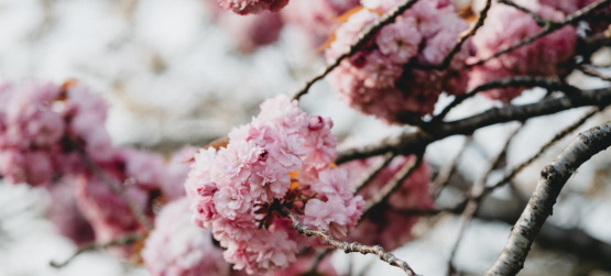 Somos ou não seguidores de Cristo?