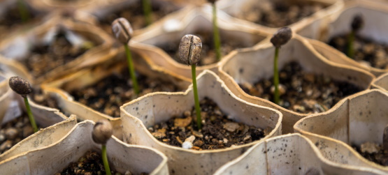 Deixando se enganar pelas coisas da vida