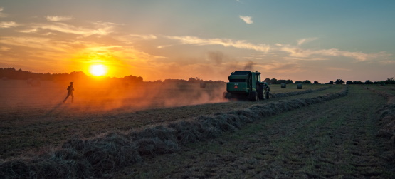 Sendo oferta, excedendo a lei