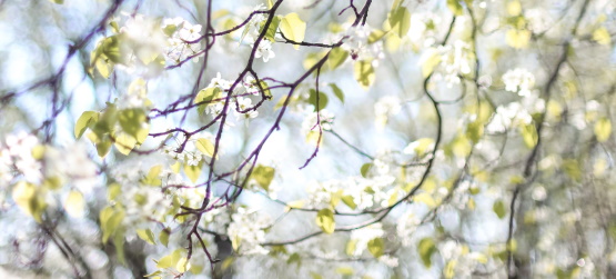 A religiosidade nos afasta de Deus