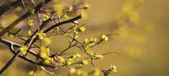 Seguimos, esperando por conforto?
