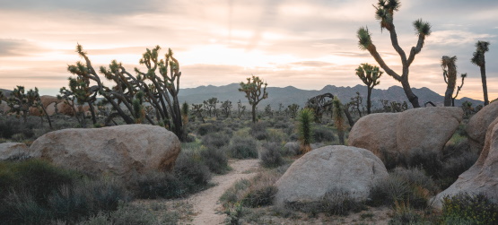 A nossa salvação é confirmada por nossa fidelidade