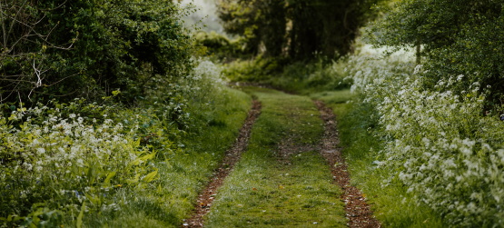 Impedindo outros de entrarem