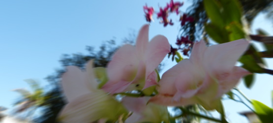 Revelando a salvação recebida