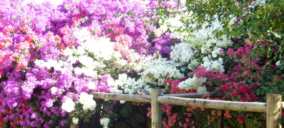 Muito antes de qualquer possibilidade