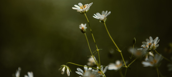 Nossas obras revelam o nosso compromisso