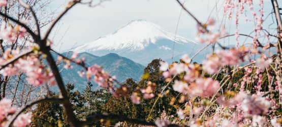 Tudo deve ser para testemunho