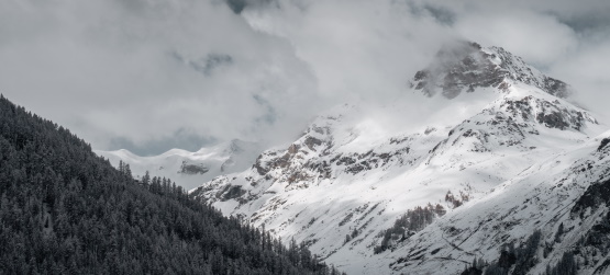 Até que tudo seja renovado