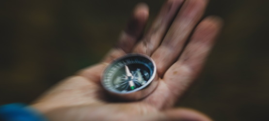 Segundo a orientação do Espírito