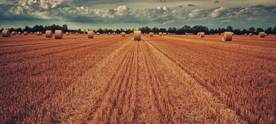 Como um fermento na massa