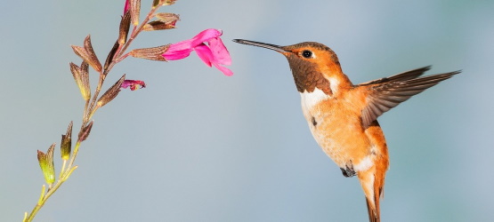 O perdão e a libertação