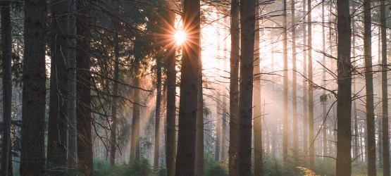 A preocupação com a fé dos irmãos