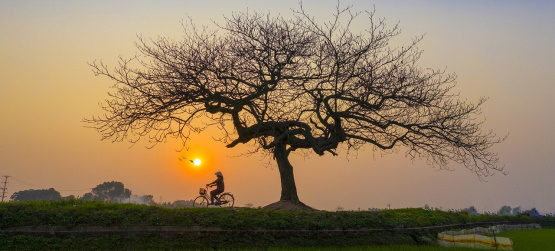 Liberto pelo poder de Deus