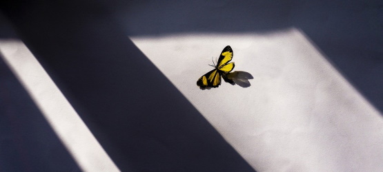 Olhar além da aparência