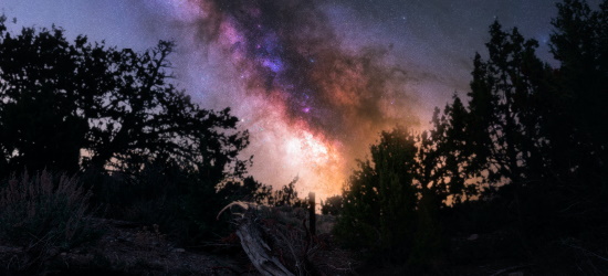 Estamos dispostos a revelar maturidade?