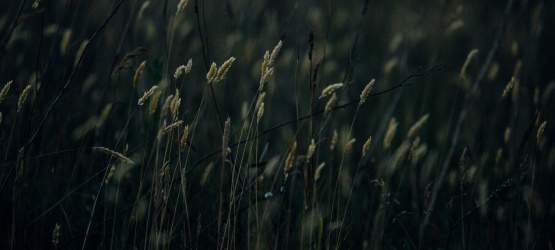 Revelarmos as qualidades de Cristo