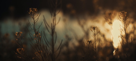 Uma profunda expressão de amor