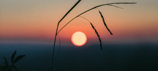 Sendo sacerdotes de Deus