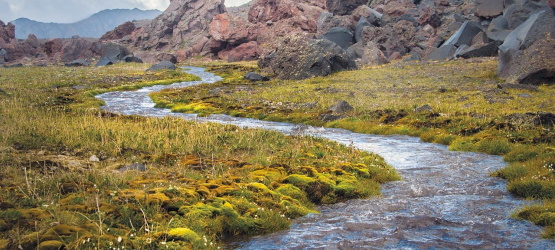 Para vivermos de acordo com o Espírito